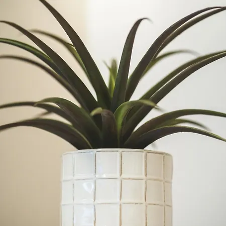 Apartamento Alter Ego Cozy Corner